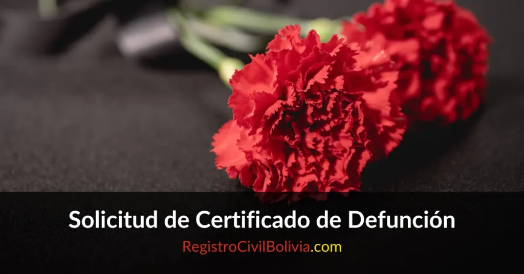 Solicitud de Certificado de Defuncion Bolivia